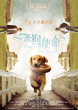 99久久免费看国产精品